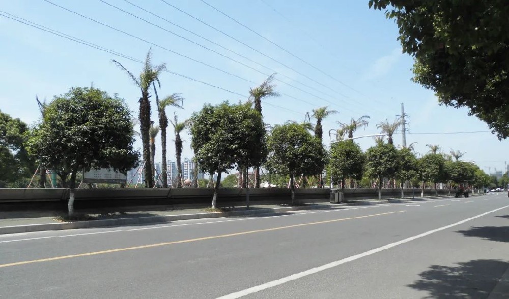 為城市防洪防澇保駕護航！明石集團桑尼橡膠獻策國家城市防洪防內澇建設